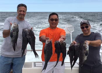 Three men smile for the camera as each hold up 2 sea bass.