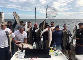 A group of 11 men smile as they hold up numerous striped bass.