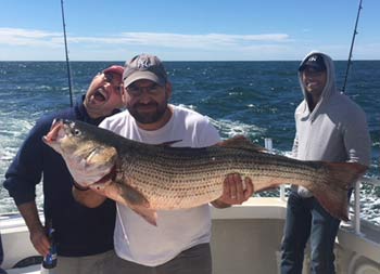 A man wearing a blue Yankee baseball cap, holds up a striped bass with 2 hands, as his friend behind him makes a funny face for the camera.