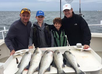 Two boys and two men stand behind the fillet table where striped bass are laid out.