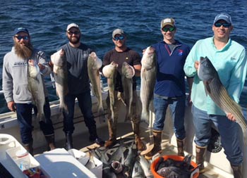 A group of 5 men each hold up one to two bass with some scup in a bucket on the deck of the boat.