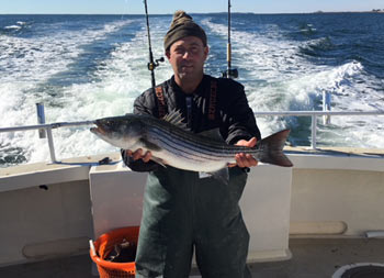 A man wearing a sweatshirt, Gruenden bibs and a hat holds up a striped bass.