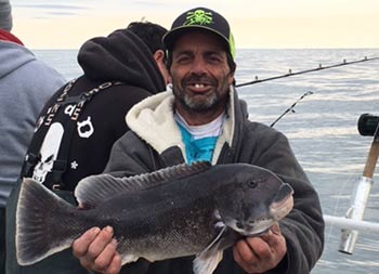A man wearing a coat and hat smiles and holds up 2 tautog a fish for the camera.