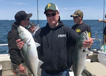 A man wearing a blue sweatshirt, baseball cap and sunglasses holds up a bluefish in each hand.