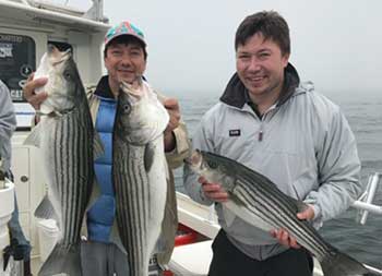 Two men hold up the striped bass they each caught.