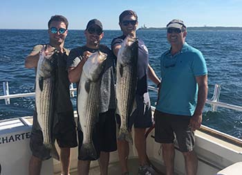 On a sunny day, three of the four guys each hold up the striped bass they caught.