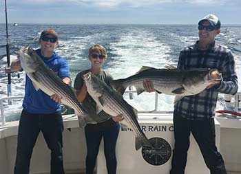 With the sunny blue sky and ocean behind them, a man, young woman and young man, all wearing sunglasses, each hold up striped bass.