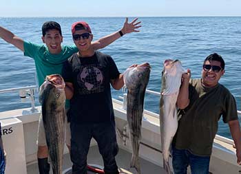 Three young men smile big and hold up 3 striped bass.