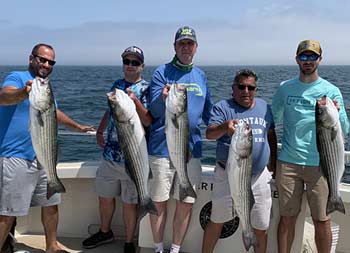 On a sunny day, five men each hold up striped bass they caught.