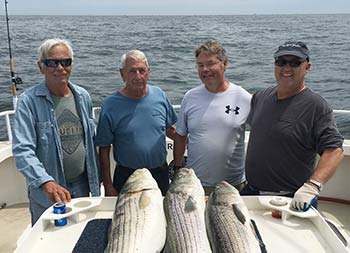 Four men stand behind the fillet table, where there are 3 striped bass, and smile for the camera.