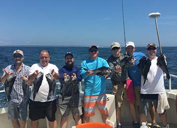 On a sunny day, 5 men hold us the sea bass they caught