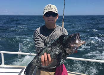 A man wearing sunglasses holds up a sea bass with both hands.