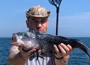 Close up of a man holding up a sea bass.