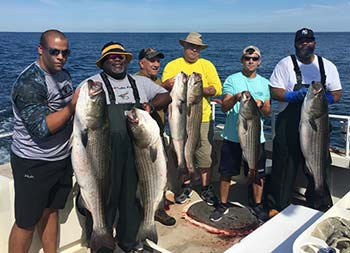 With the blue sunny sky and ocean behind him, 6 men smile and hold up striped bass.