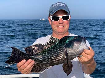 A man wearing sunglasses on a sunny summer day holds up the sea bass he caught.