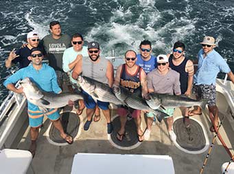 View from atop the boat looking down at 10 men, 4 of whom are holding striped bass.