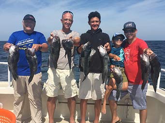 With the ocean behind them on a sunny day, 4 men, with one man holding up a young boy, hold up 2 sea bass each.