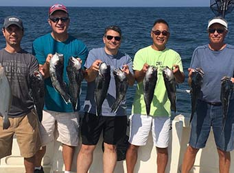 Five men each hold up 2 sea bass with more sea bass laid out on the fillet table in front of them.
