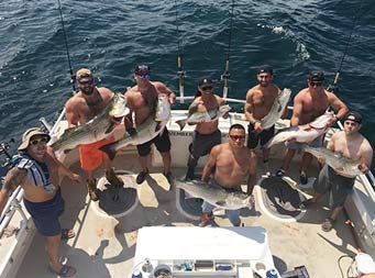 View from atop the boat on a sunny day looking down at eight men, seven of them each holding a striped bass.