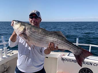 A man holds up a striped bass horizontally, with both hands.