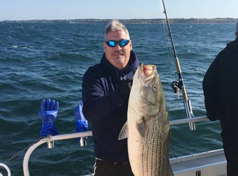 On a clear, blue-sky day, a man wearing a dark blue sweatshirt holds up a striped bass with both hands.