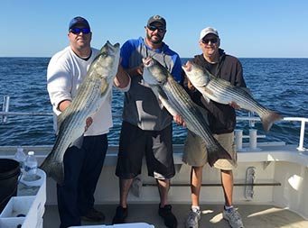 On a clear, blue-sky day, three men each hold up a striped bass.