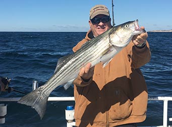 A man holds up a bluefish with both hands.