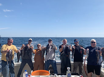 Seven men stand together and each hold up 2 sea bass.