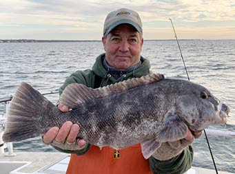 On a chilly, cloudy fall day, with the sun peeking through, a man holds out a tautog (blackfish) with both hands for the camera.