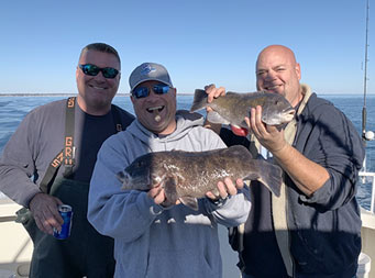 Two men wearing sunglasses and one man not, stand close together and smile while they hold up 2 blackfish for the camera.
