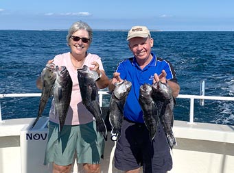 With a blue sky in the background and deep blue water, an older woman and gentleman smile big and hold up 3 sea bass each.